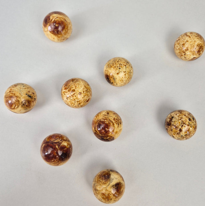 Round amber knob collection featuring beautifully crafted knobs with a modern design and pressed amber finish.